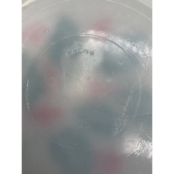 Vintage Termocrisa Mexico Christmas Salad Plates Holly Berry - Picture 4 of 4